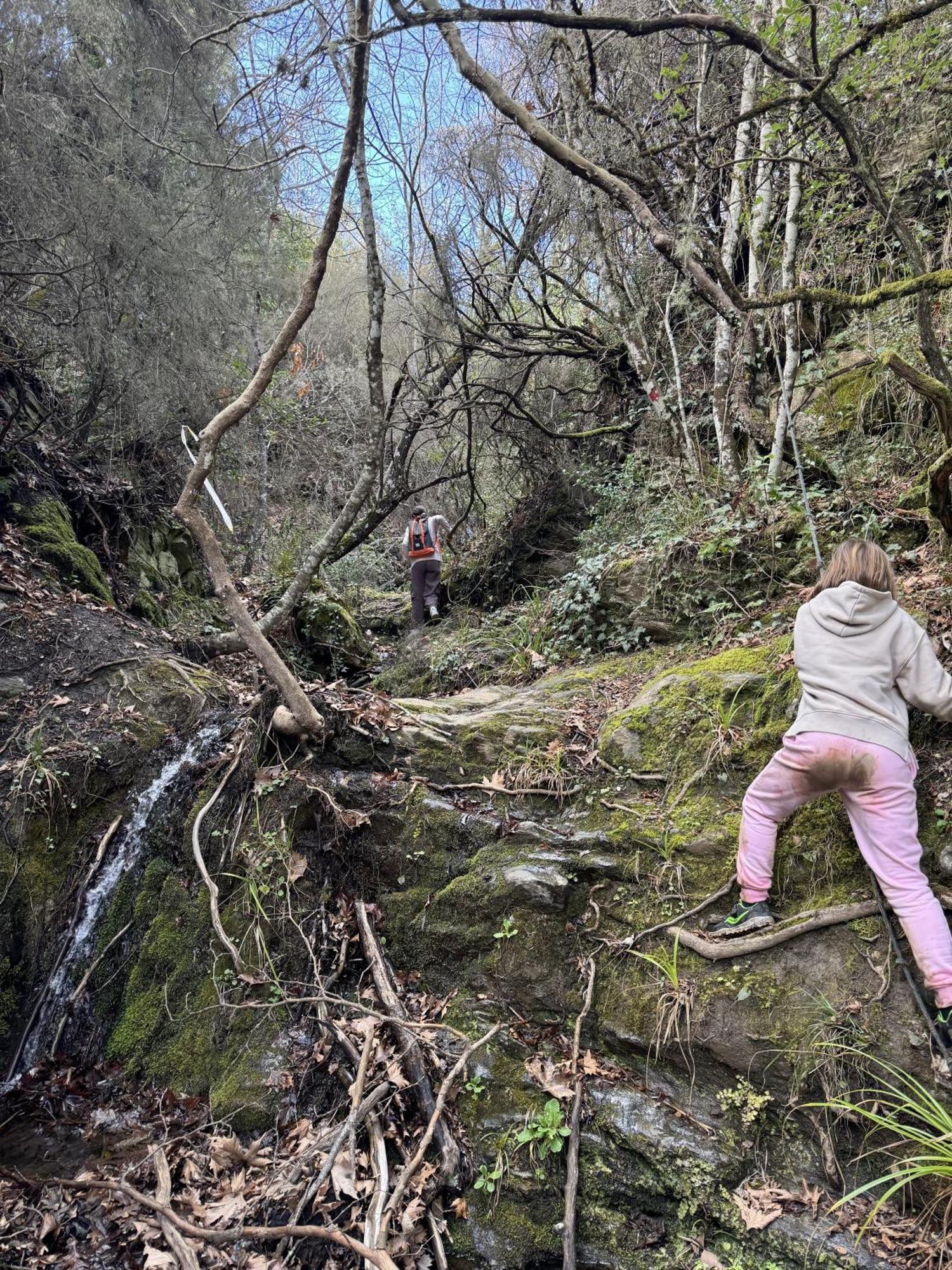 Foresta In Medias Mores Tripoli Bagian luar foto
