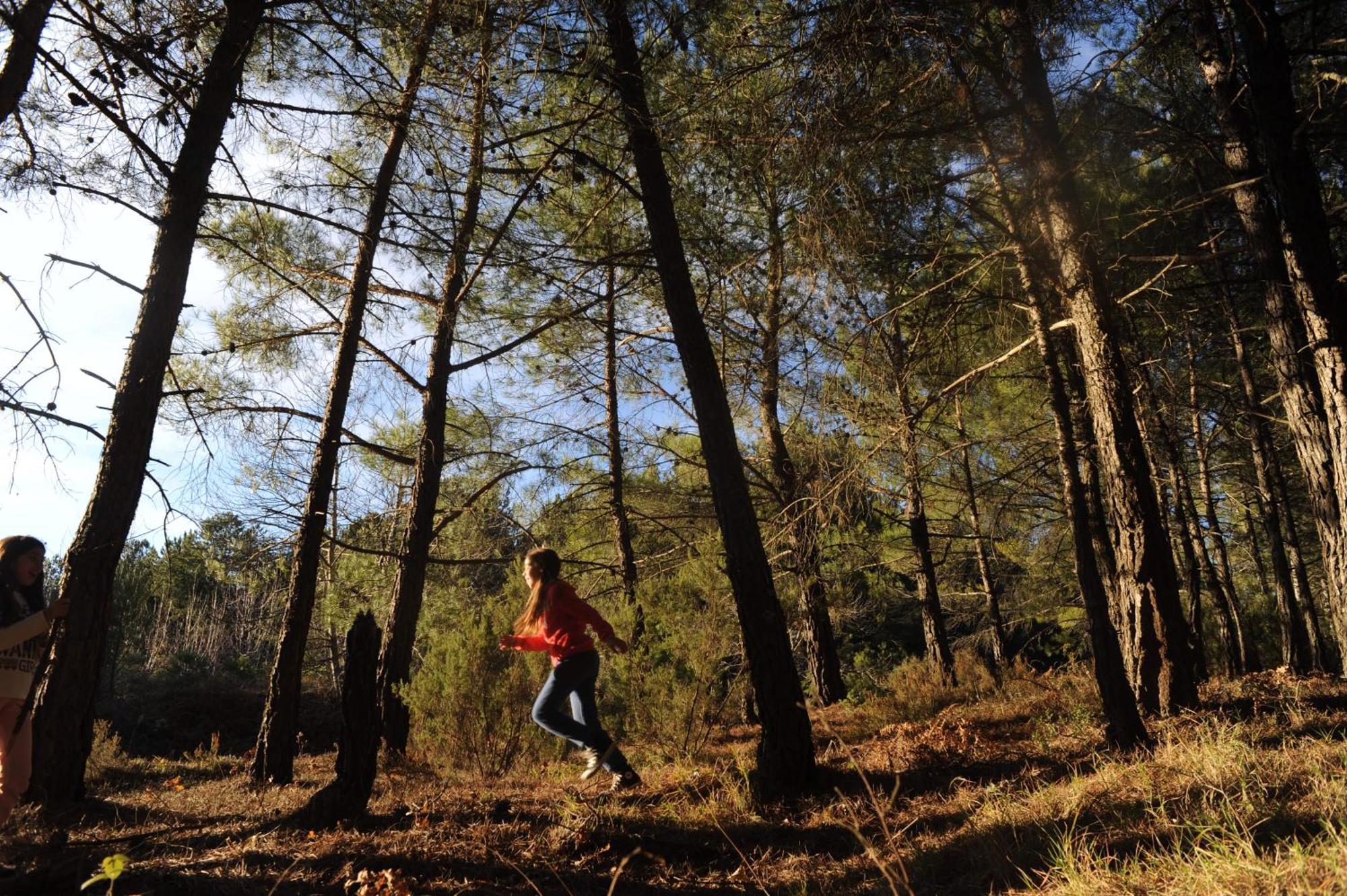 Foresta In Medias Mores Tripoli Bagian luar foto