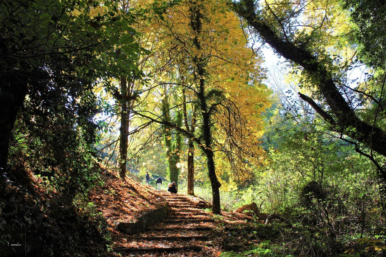 Foresta In Medias Mores Tripoli Bagian luar foto